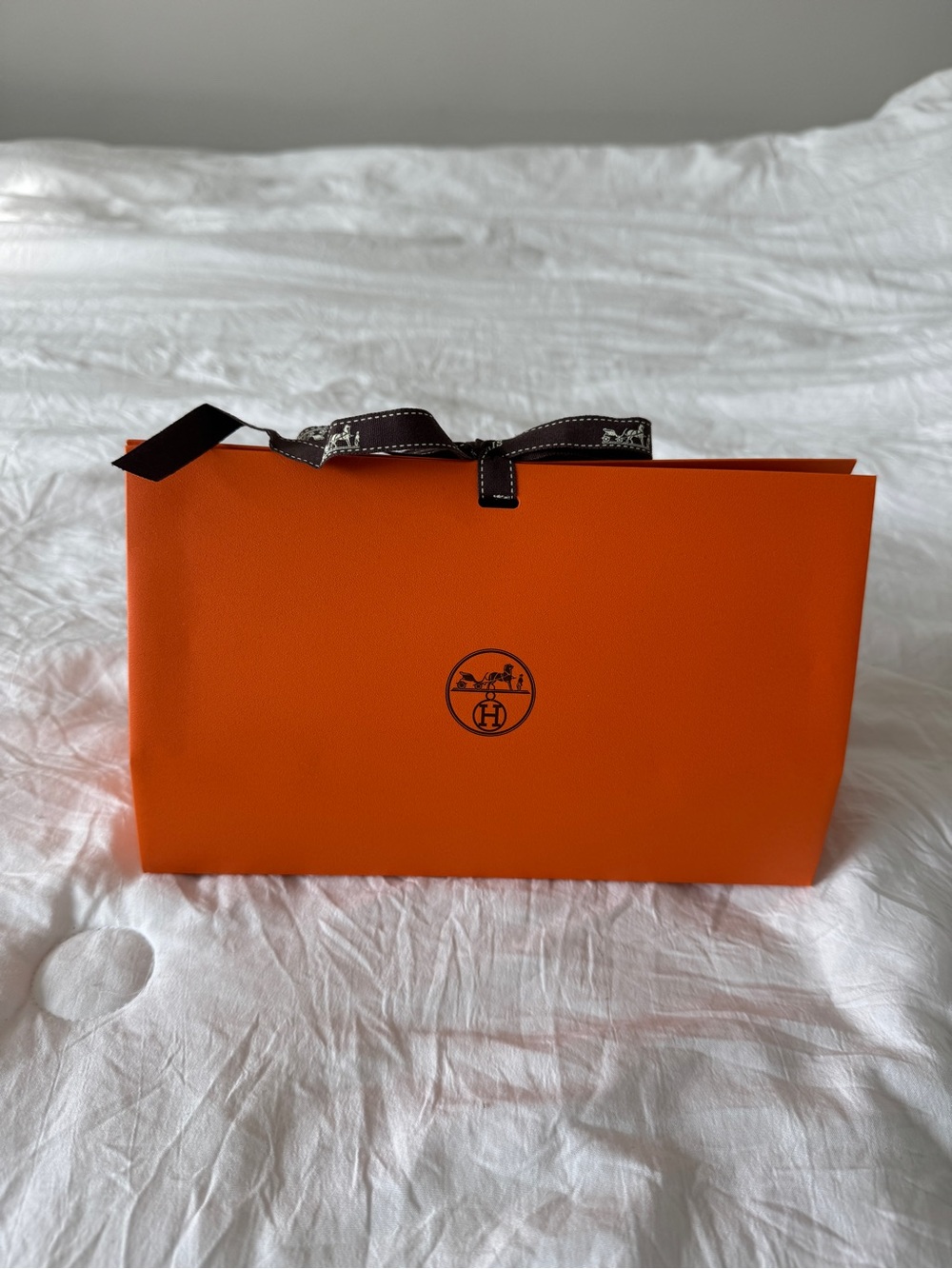 Hermes Orange Gift Bag with Brown Ribbon